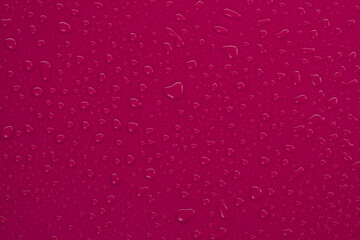 burgundy or magenta background with drops closeup