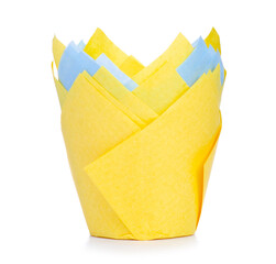 Paper forms for cupcakes on white background isolation