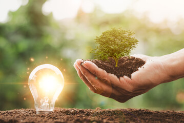 protecting the environment alternative energy Sustainable renewable energy sources Green energy innovation and environmentally friendly energy technology,tree is in the hand and the bulb is in soil.
