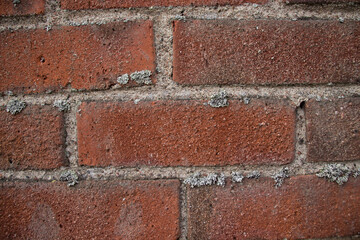 old brick wall