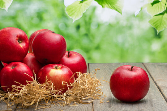 ripe red apples on a wooden table on a green blurred natural background, harvest time, rustic style, eco organic fruits