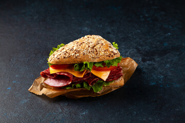 Sandwich with salami and cheese in a multi-grain roll. Dark mood.