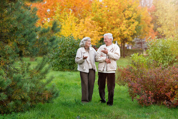 Fototapeta premium Elderly couple in the park in autumn. In full growth