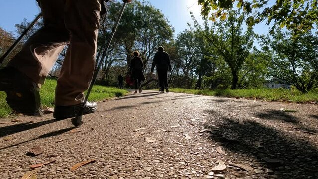 Faire de la randonn&eacute;e marcher dans un parc, 119,88fps ralenti X4 - 29,97fps