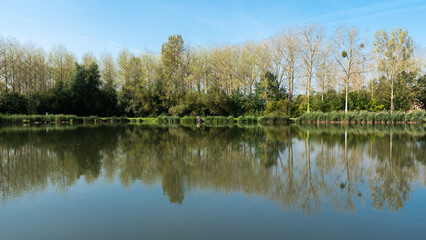 Fototapeta na wymiar Trees and plants reflecting in a water pond around Leuven