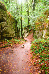 Mullerthal trail in Luxembourg between Echternach and Berdorf, hiking through a forest with sandstone rock formations