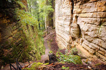 Gorges du loup or Wolfsschlucht on the Mullerthal trail near Echternach in Luxembourg, canyon with...