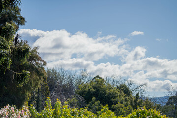 family together in a park in spring time 
