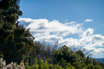 family together in a park in spring time 