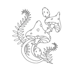 beautiful fly agaric contour