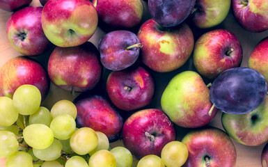 Concept for an simple autumn background. Close-up of fresh, organic fruits (apples, grapes, plums) on a wooden table. Flat lay, top view.
