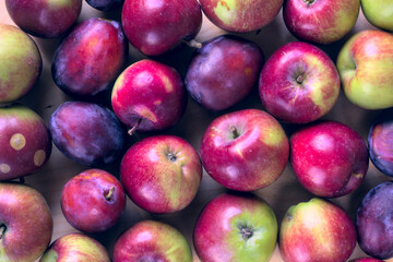 Concept for an simple autumn background. Close-up of fresh, organic fruit (apples, plums) on a wooden table. Flat lay, top view.