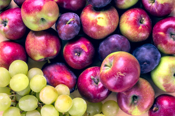 Concept for an simple autumn background. Close-up of fresh, organic fruits (apples, grapes, plums) on a wooden table. Flat lay, top view.