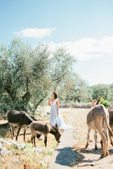 Bride stand under an olive tree near grazing donkeys