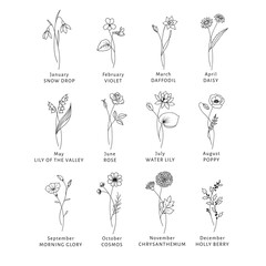 Birth Month Flowers Illustration Bundle - obrazy, fototapety, plakaty