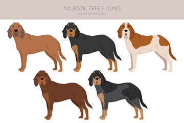 Majestic tree hound clipart. All coat colors set.  All dog breeds characteristics infographic