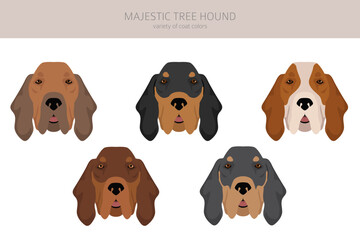 Majestic tree hound clipart. All coat colors set.  All dog breeds characteristics infographic