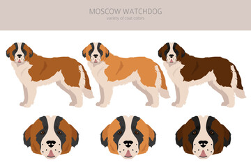 Moscow Watchdog clipart. All coat colors set.  All dog breeds characteristics infographic