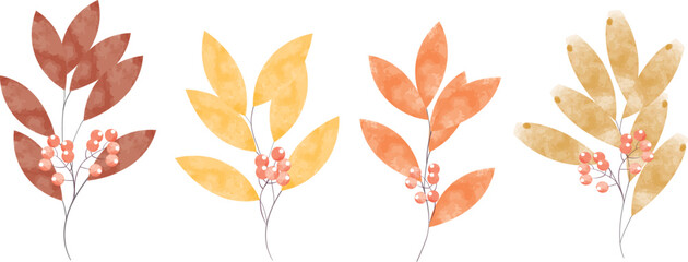 Set of autumn leaves, vector watercolor. Leaves on a white background.