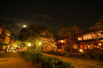 祇園 ライトアップされた夜の白川筋