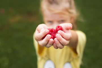 little girl child holding a handful of red berries,raspberries