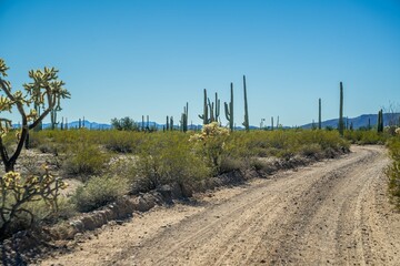 A long way down the road going to Organ Pipe Cactus NM, Arizona