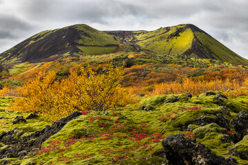 Fototapeta premium Grábrók Crater Landscape in Autumn/Fall with Lava Field and Autumnal Colored Trees in West Iceland