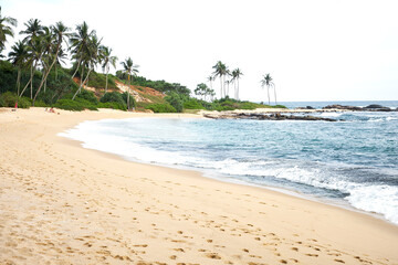 Beautiful beach with palms and blue ocean in Sri Lanka island. Rest, vacation, relaxation in Sri Lanka.