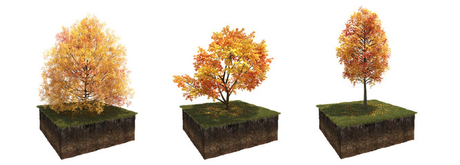 autumn tree, isolate on a transparent background, 3d illustration