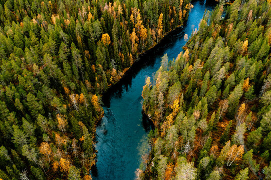 Aerial View Of Blue Winding River And Fall Forest With Autumn Colorful Trees.