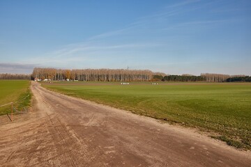 Agircutural field with dirt road