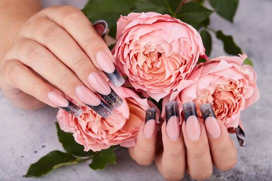 Hands with long artificial manicured nails colored with black nail polish and pink rose flowers