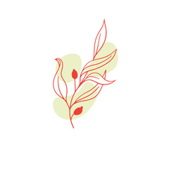 Floral  Aesthetic Illustration