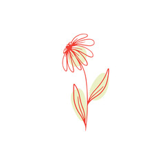 Floral  Aesthetic Illustration