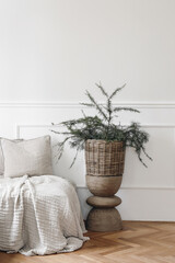 Elegant Christmas interior. White moulding panelling wall background, empty copy space. Bed, sofa with linen cushions, throw. Evergreen larch, pine tree branches in wicker basket, wooden coffee table.