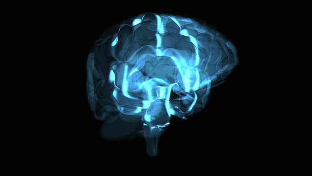 3D abstract art of a brain motion design in xray