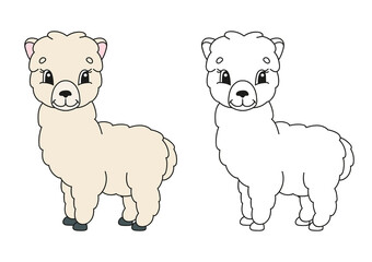 Coloring book page for kids alpaca. Cartoon style character. Vector illustration isolated on white background.