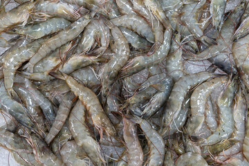 Frozen fresh and raw shrimp piles on ice trays in the market or supermarket for seafood and sale in the department store on top view