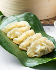 Japanese gyozas in a green leaft