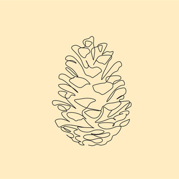 cone pine vector line art