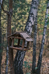 birdhouse in autumn forest, Siberia