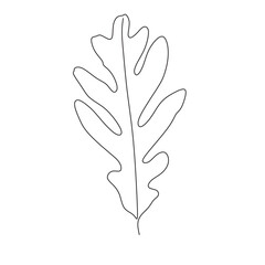 oak leaves one line art vector