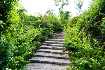 Obraz premium Stone staircase going up in the park