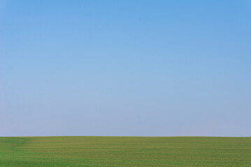 Green field with blue sky as background.