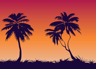 Fototapeta na wymiar Tropical palm tree vector landscape. Silhouette tree on red sunset. Orange beach. Digital exotic artwork. Island background.