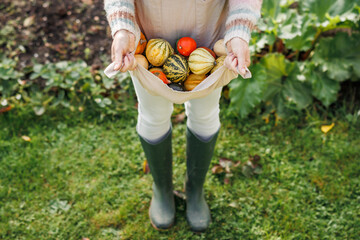 Farmer holding harvested decorative pumpkins in apron at autumn garden