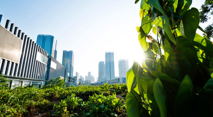Fresh green and modern office building