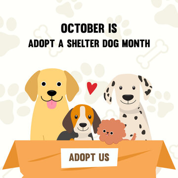 October is adopt a shelter dog month greeting card vector design.