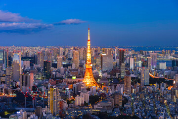 東京都心と東京タワーの夜景