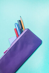 Fashionable violet pencil case with multicolored felt-tip pens, pencils and pens on green background.